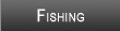 Pistakee Lake Fishing